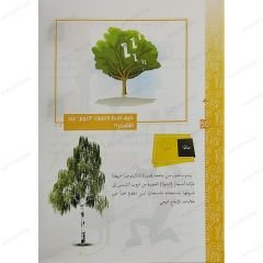 فكر كما يفكر العلماء