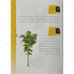 فكر كما يفكر العلماء