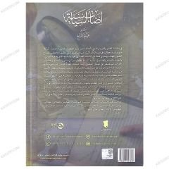 إضاءات سياسية