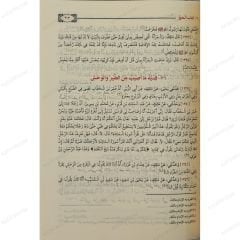 الموطأ