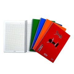 Dazzle A5 Spiralli Defter Pp Kapak 72 Yaprak Kareli