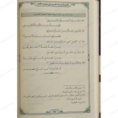ألفية لسان العرب في علوم الأدب
