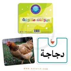 Hayvan Kartları | بطاقات الحيوانات