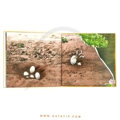 Yumurta (Etkileşimli Kitab) | بيضة (كتاب تفاعلي)