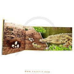 Yumurta (Etkileşimli Kitab) | بيضة (كتاب تفاعلي)