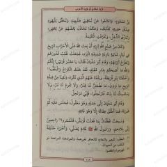 سيرة خاتم النبيين