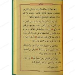 سيرة خاتم النبيين