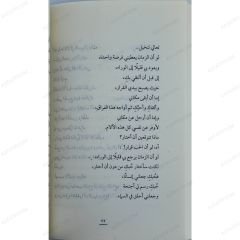 مدينة الحب لا يسكنها العقلاء