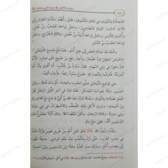 روضة الأنوار في سيرة النبي المختار ﷺ