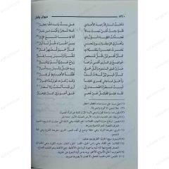 ديوان بشار بن برد