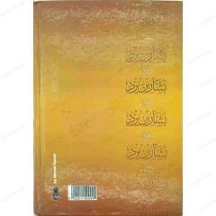 ديوان بشار بن برد