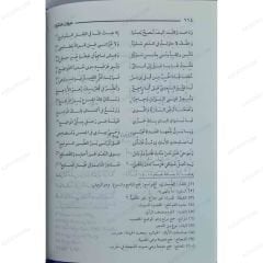 ديوان عنترة بن شداد