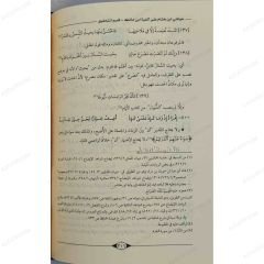 حواشي ابن هشام الأنصاري على ألفية ابن مالك