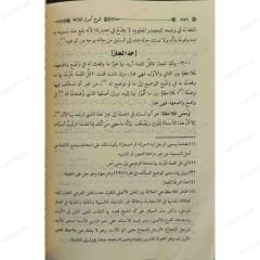 شرح أسرار البلاغة