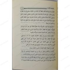 الأجنحة المتكسرة