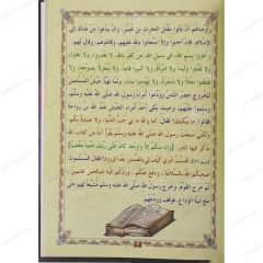 غزوات الرسول ﷺ ج2