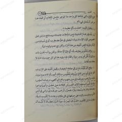 كانديد