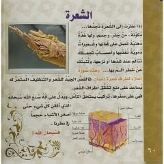 الإعجاز العلمي في القرآن الكريم ج1 القسم الأول (الإنسان - الحيوان)