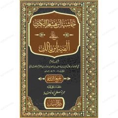 حاشية ابن هشام الكبرى على ألفية ابن مالك