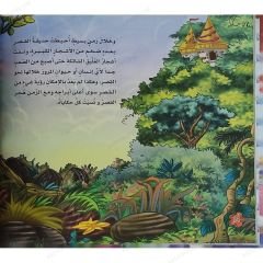 قصص أجمل الجميلات